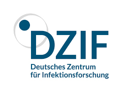 Epstein-Barr-Virus: DZIF und Helmholtz Munich entwickeln einen Impfstoff