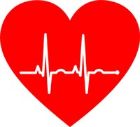 Virtuelles Herz für bessere Medikamententests 